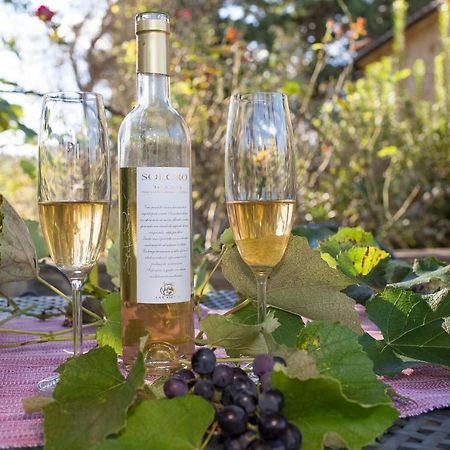 Podere La Casetta - Casa Di Campagna Montaione Ngoại thất bức ảnh