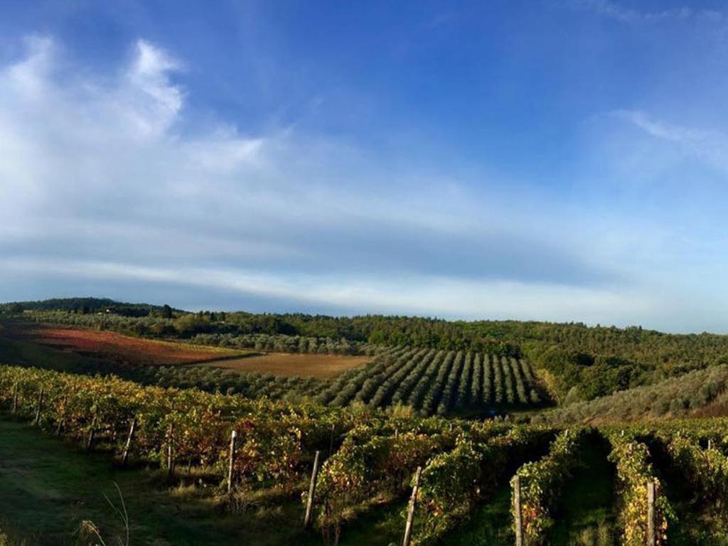 Podere La Casetta - Casa Di Campagna Montaione Ngoại thất bức ảnh