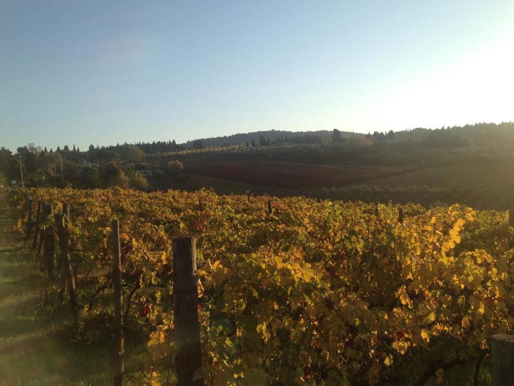 Podere La Casetta - Casa Di Campagna Montaione Ngoại thất bức ảnh
