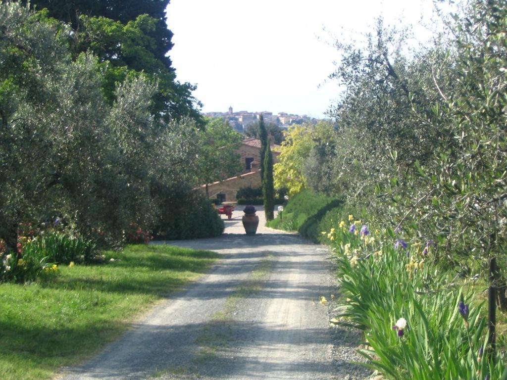 Podere La Casetta - Casa Di Campagna Montaione Ngoại thất bức ảnh