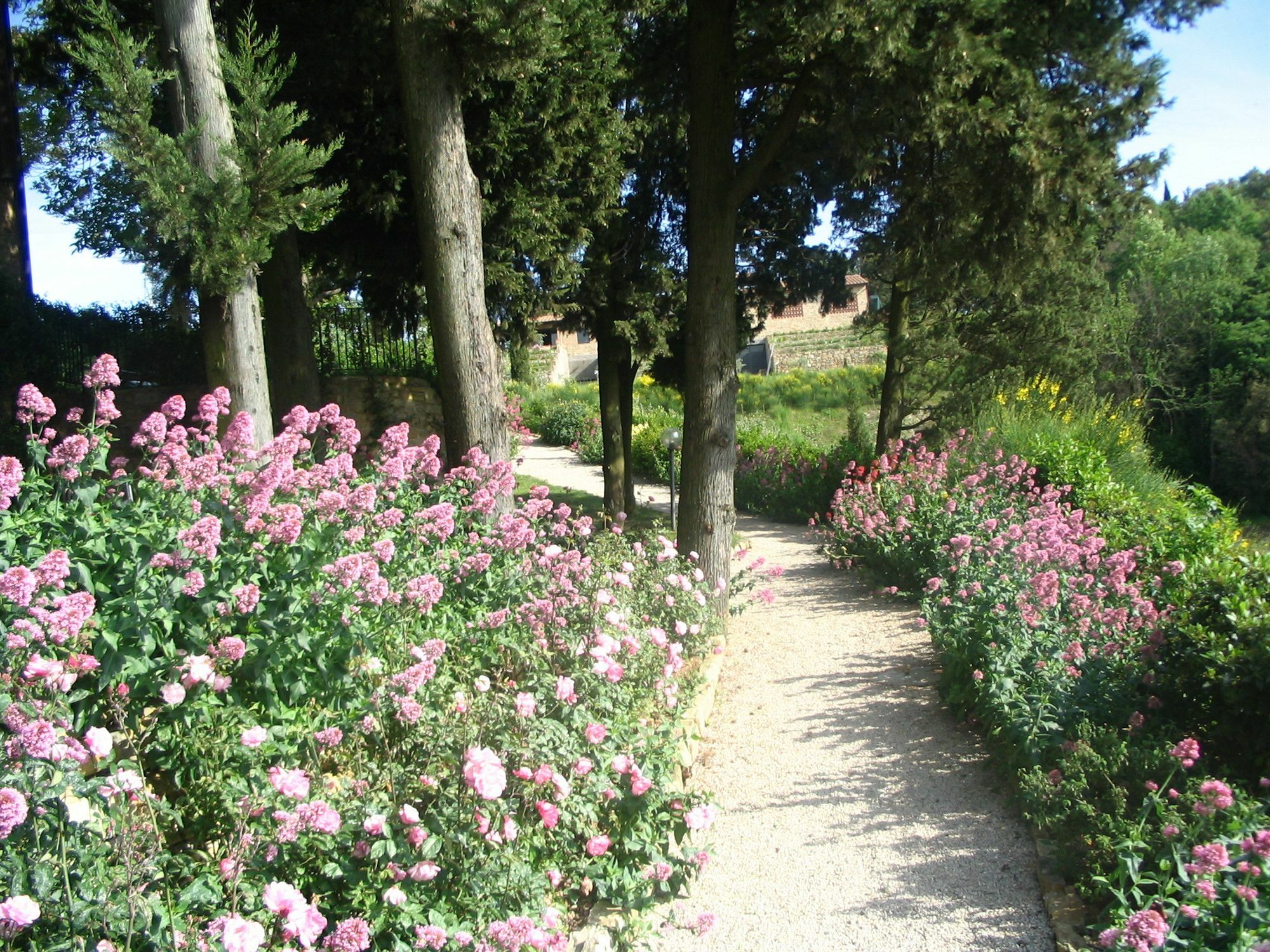 Podere La Casetta - Casa Di Campagna Montaione Ngoại thất bức ảnh