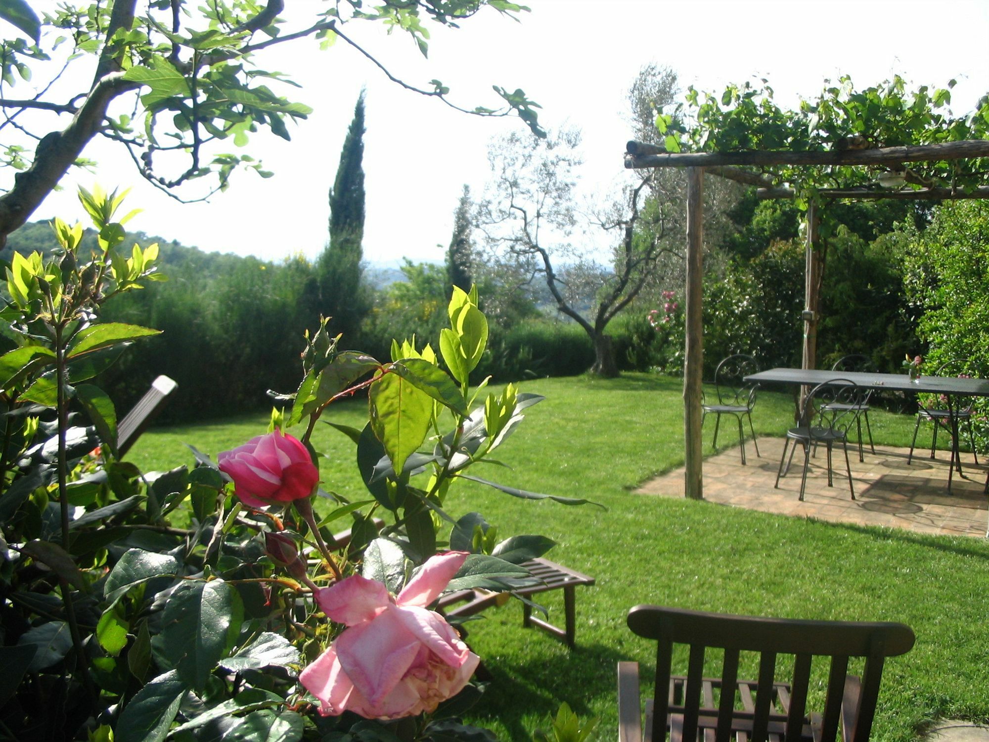 Podere La Casetta - Casa Di Campagna Montaione Ngoại thất bức ảnh